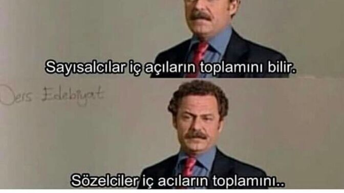 Sayısalcı mısınız sözelci misiniz?