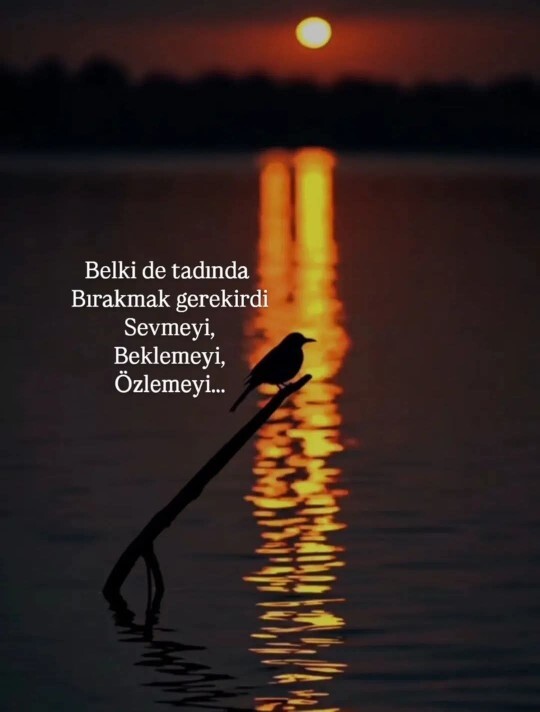 Aşkta tadımız tuzumuz kalmadı sanki ne düşünüyorsunuz?