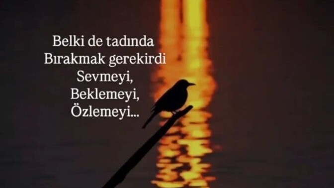 Aşkta tadımız tuzumuz kalmadı sanki ne düşünüyorsunuz?