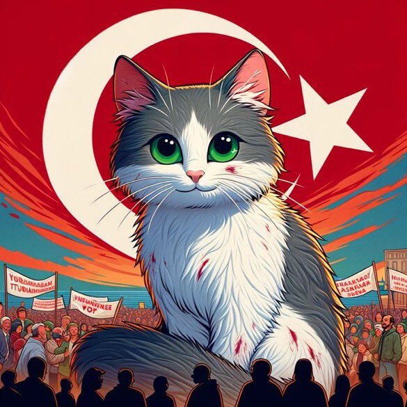 Türkiye de hırtlar mı sorun yoksa kedimi?