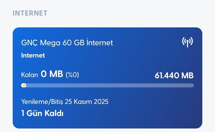 Aylık internet harcamaniz kaç GB?