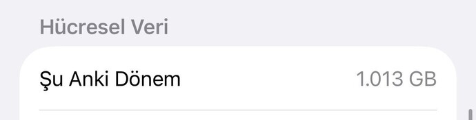 Aylık internet harcamaniz kaç GB?