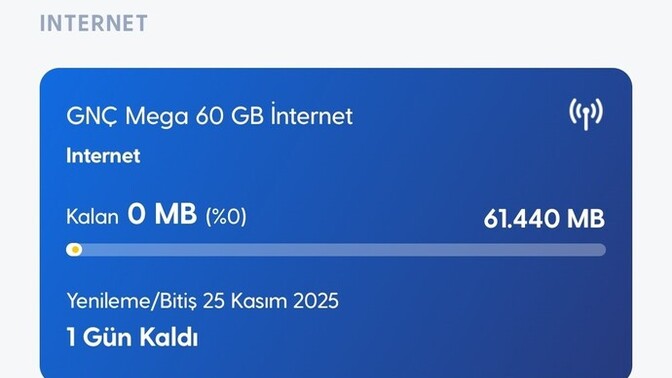 Aylık internet harcamaniz kaç GB?