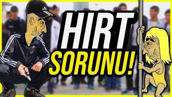 Başı boş kedi sorunu hakkında ne düşünüyorsunuz?