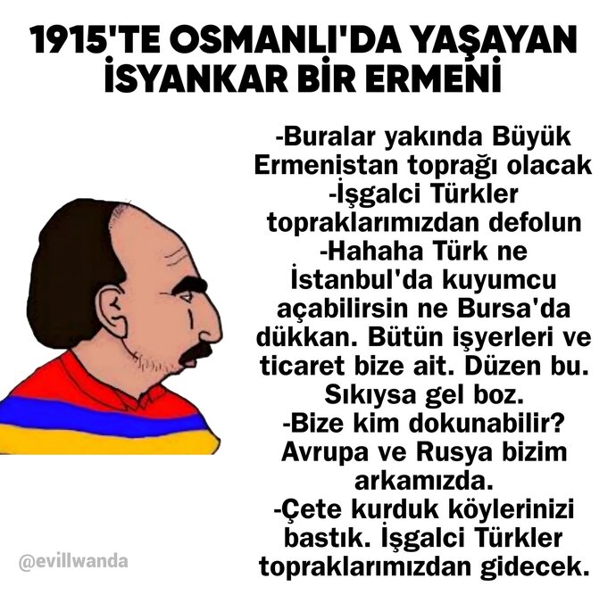 Başı boş kedi sorunu hakkında ne düşünüyorsunuz?