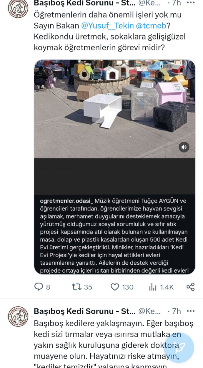 Başı boş kedi sorunu hakkında ne düşünüyorsunuz?