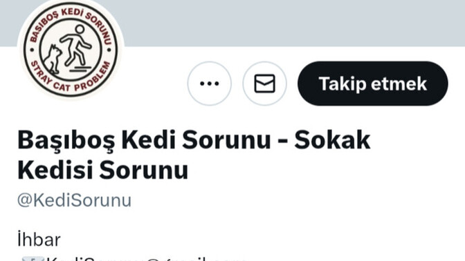 Başı boş kedi sorunu hakkında ne düşünüyorsunuz?