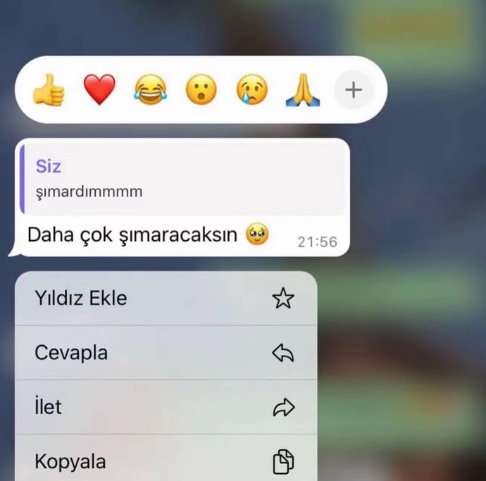 Şımartılmak hoşunuza gider mi?