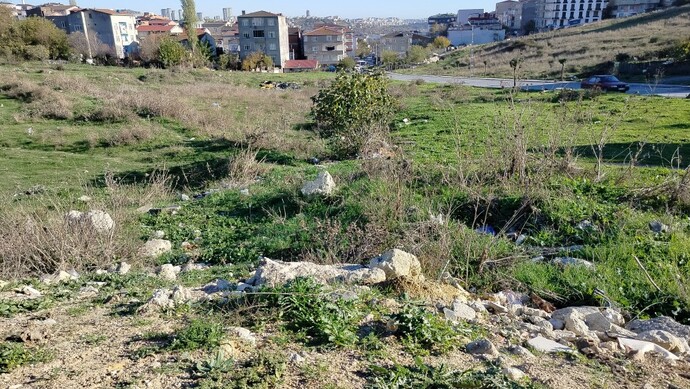 Son yediğin şeyi şu an oturduğum yere getirseydin, ben ne yemiş olurdum?