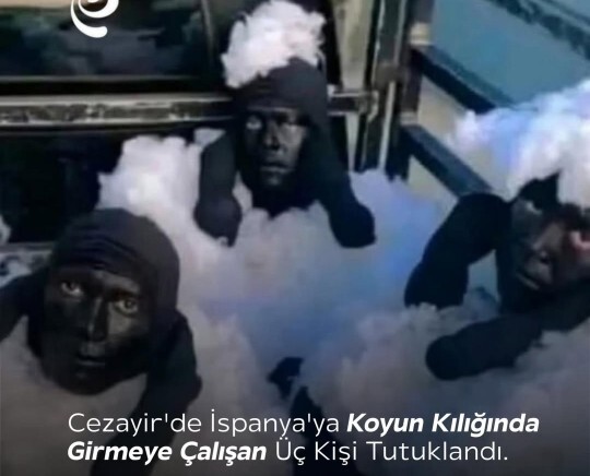 Yurtdışına gitmek için çok çabalar mıydınız 😂?
