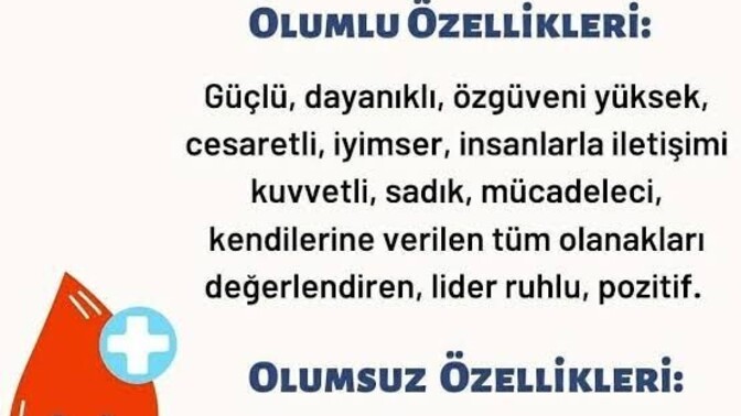 Kan grubunuza göre mizacınızı bir miktar da olsa yansıtıyor mu bu analizler?