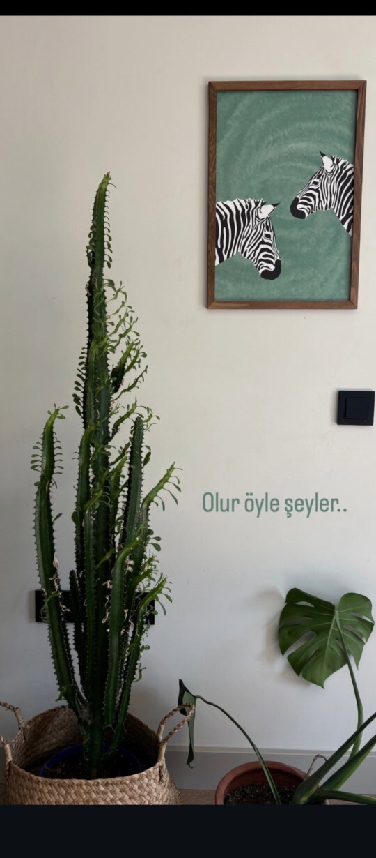 Evindeki eşyalar ve ortam bir sanatçı evi gibi olsun ister miydin?