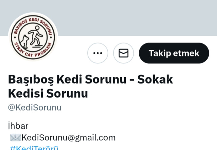 Herşeye ülkede sinir olmaktan kafayı yicem ne yapabilirim?