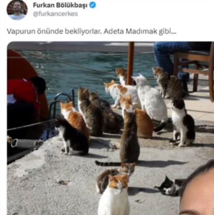 Herşeye ülkede sinir olmaktan kafayı yicem ne yapabilirim?