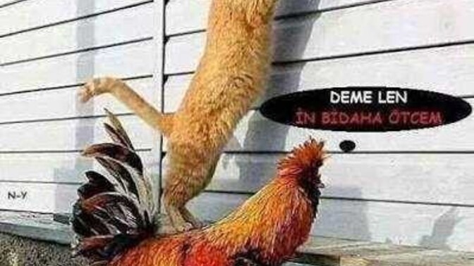 GÜNAYDINNN NASILSINIZ BAKALIM BU GÜN UMARIM İYİSİNİZDİR?