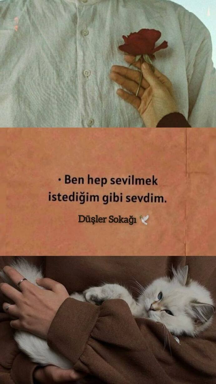 🌸❤️