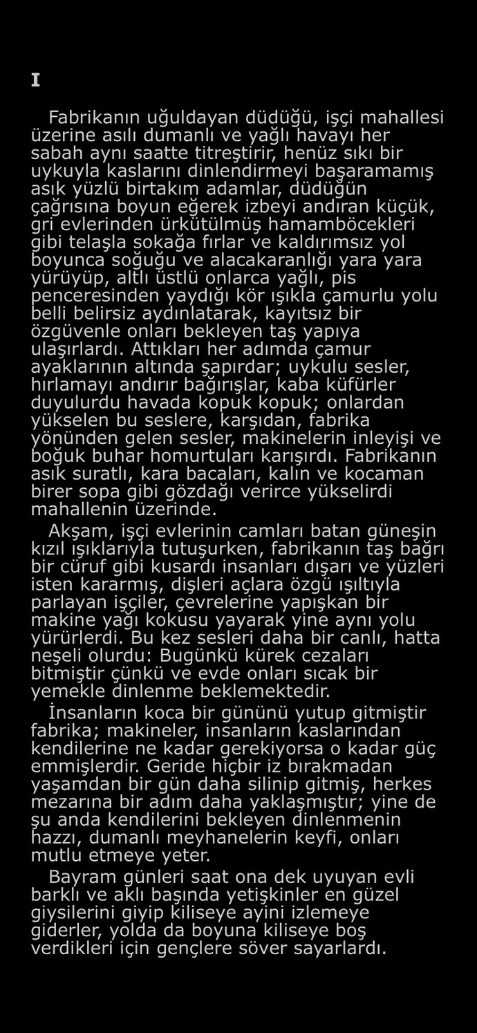 Size bir kitap önerilse onu hemen okur musunuz?