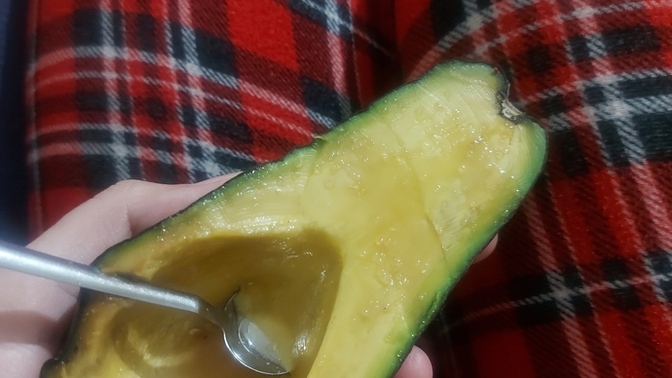 Avokado seviyor musunuz?