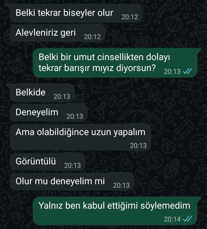 Sevgilinizden ayrılınca bunu teklif etse ilişki için çabalıyor mu dersin, yoksa sapık olduğunumu düşünürsün?