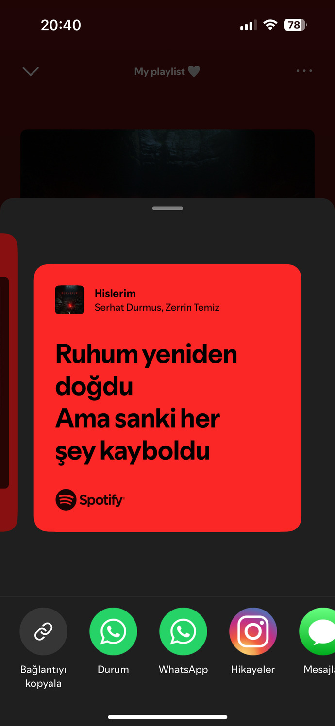 Dinlediğiniz şarkıdan her hangi bir cümle yazar mısınız?