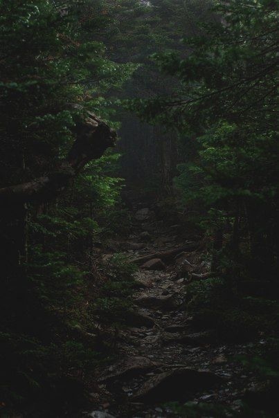 taşlı yol