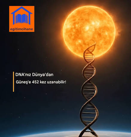 Dna bana evrim yok diyor?