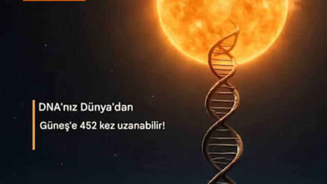 Dna bana evrim yok diyor?