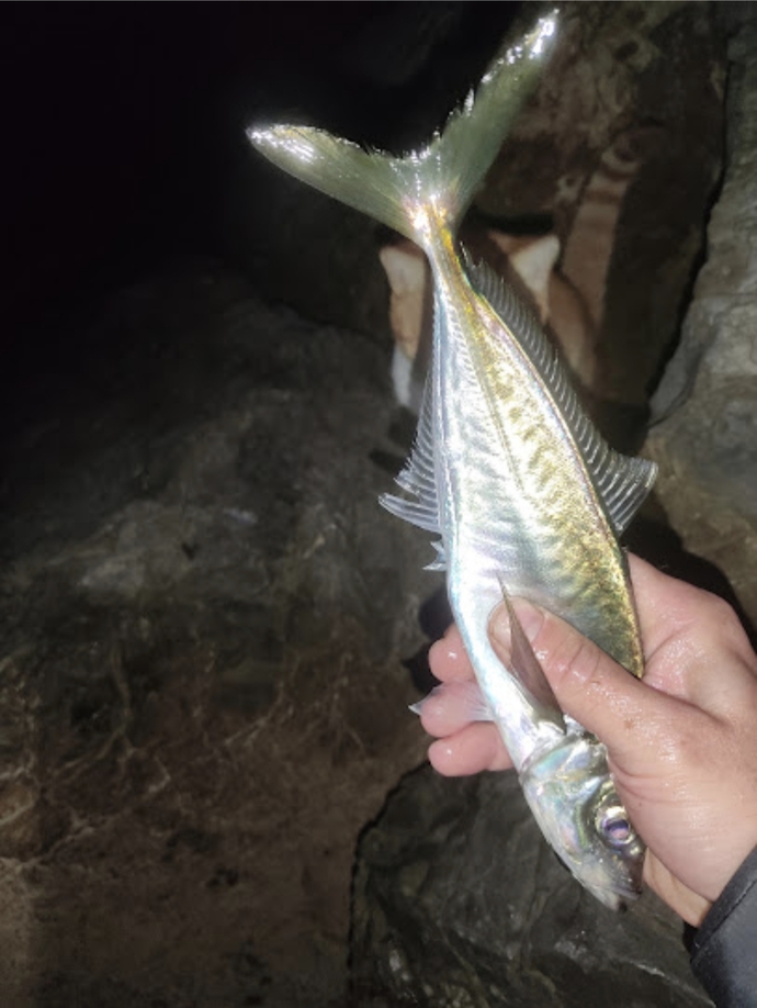 Sosyal medyada hep balık paylaşımı var burada neden yok?