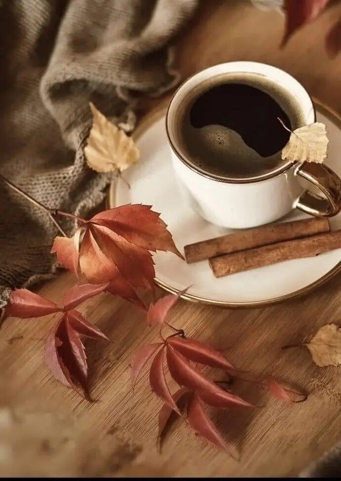 Günaydınlar olsun 🥰 okuldayken siz de bu tür etkinlikler yapar mıydınız?