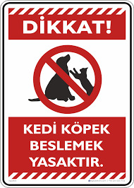 Sokakta kedi köpek beslemek gerçekten yasaklandı mı?