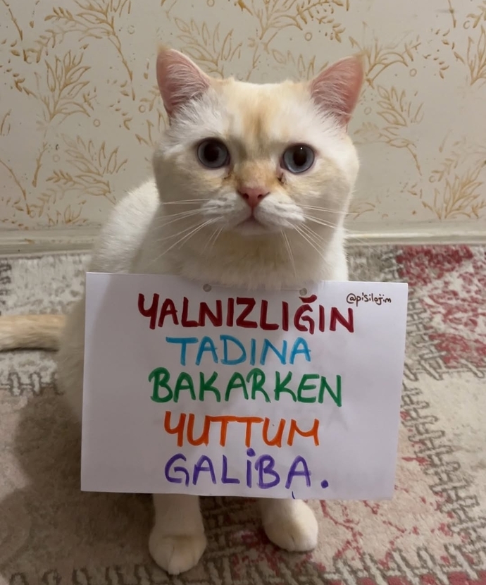 Yalnızlık nasıl bir şey?