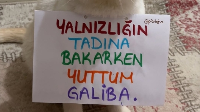 Yalnızlık nasıl bir şey?