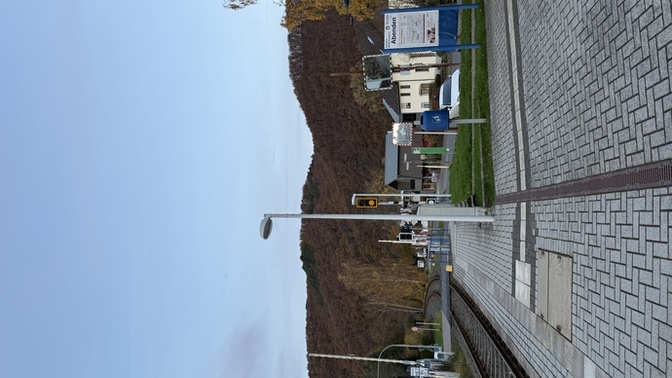 Selamlar, yaşadığınız hayattan ne kadar memnun sunuz?