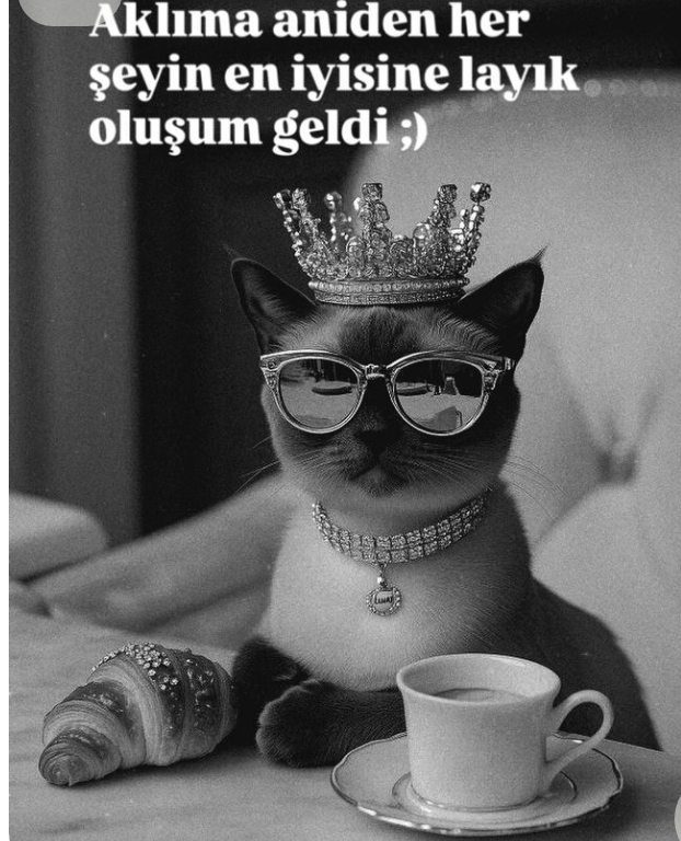 Öğrendiğinde ufku iki katına çıkaran şeyler?