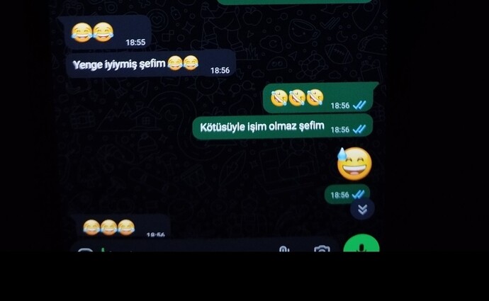 Seven bir erkek sevdiği kadın hakkında böyle bir muhabbete girer mi?