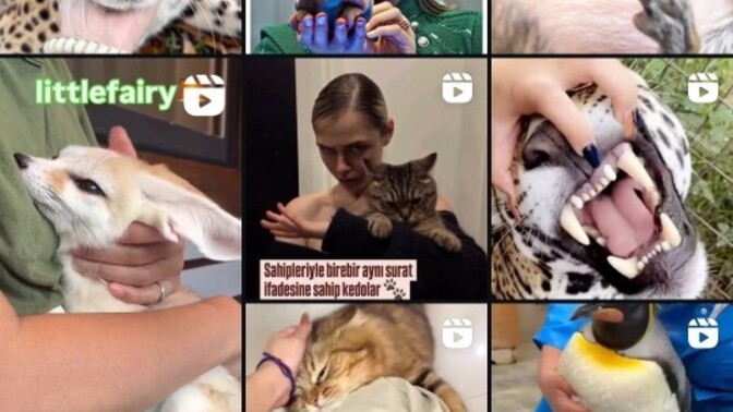 Instagram keşfetinizden memnun musunuz?