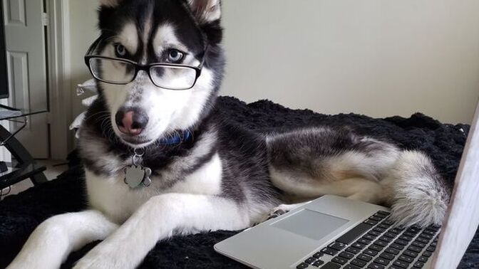 Gözlük kullananların bir alışkanlığı ya da takıntıları var mı?