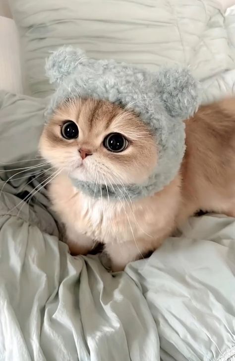 Şu an şarjınızın kaç olduğunu tahmin edeyim mi?