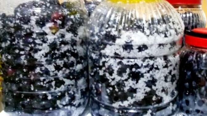 Tuzlama zeytin severmisiniz?
