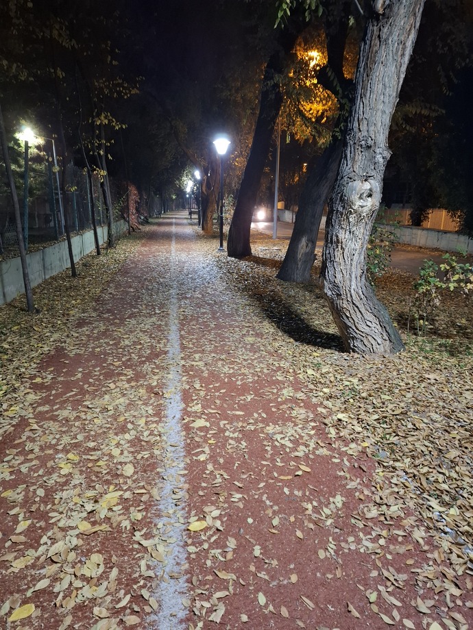 Son bahar da fena değil ne dersiniz?