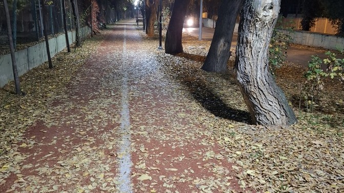 Son bahar da fena değil ne dersiniz?