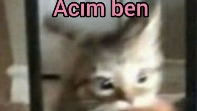Karnınız açken uyuyabilir misiniz?