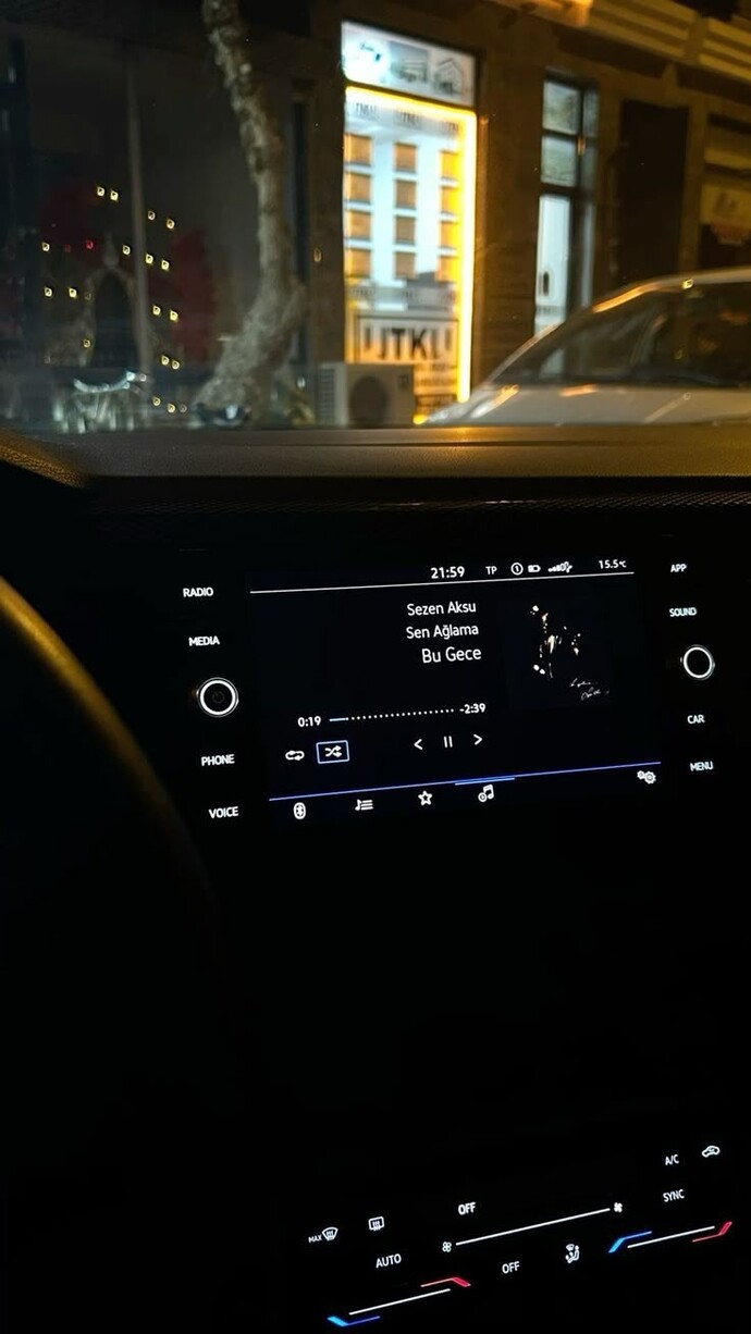 Arabada yüksek sesle müzik dinler misiniz?
