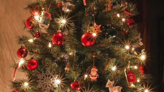 Yılbaşı ağacı aldınız mı hiç?