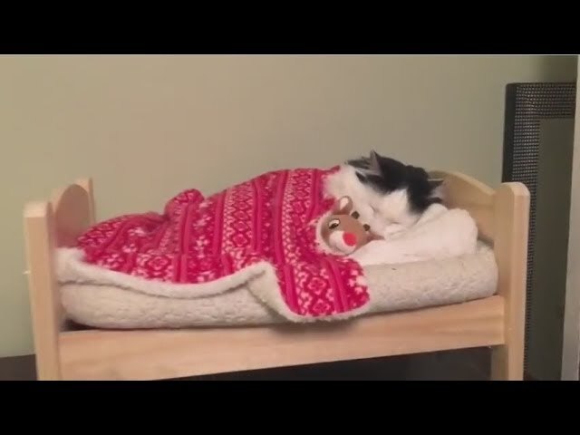 Pazar gününü yatakta geçirenler kimler?