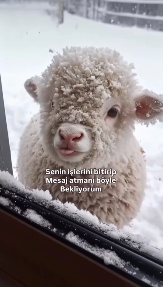 Mesajını beklediğin biri var mı?