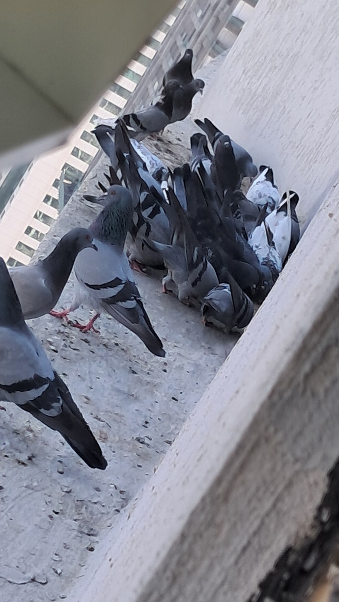 Çok tatlı değiller mi bunlar 🤭🥹🤭?