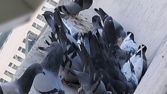 Çok tatlı değiller mi bunlar 🤭🥹🤭?