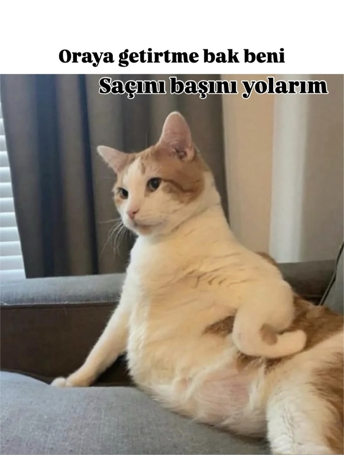 Bakışlarına ölürüm.:)💕🌸🐾❣️