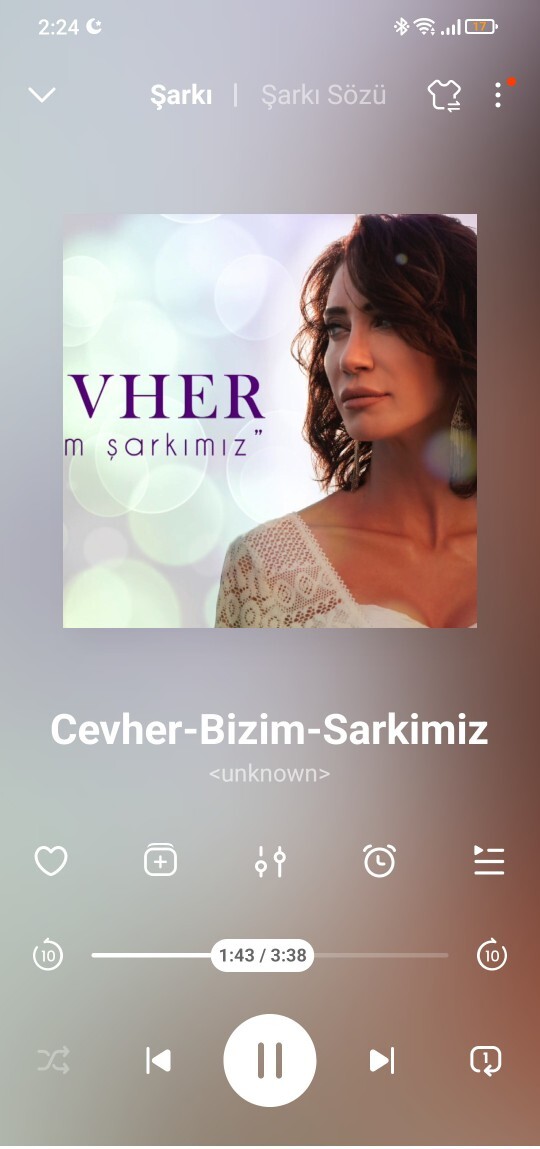 Bir şarkıya takılıp bırakamadığınız oluyor mu?